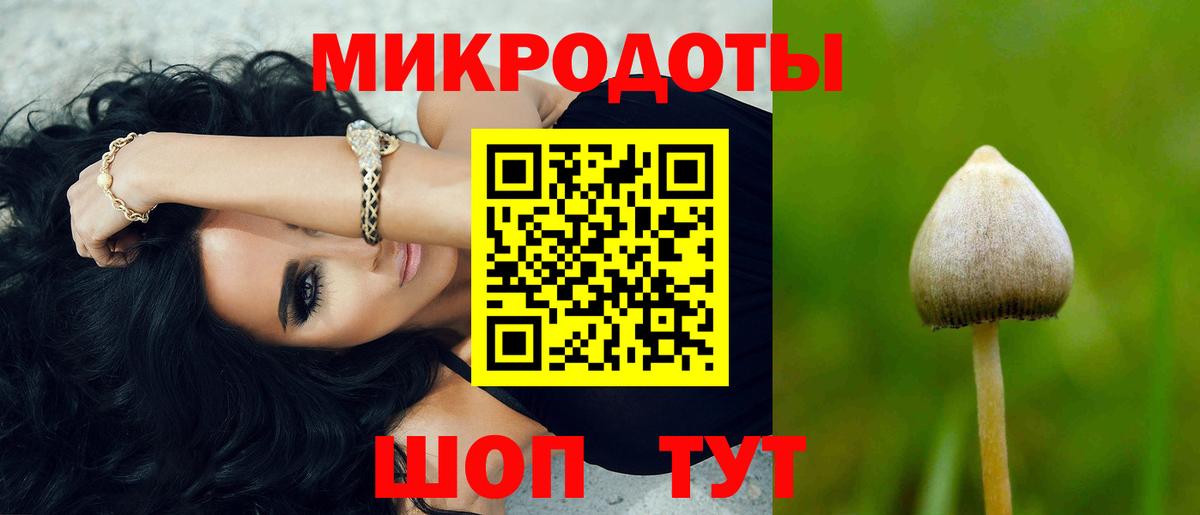 Псилоцибиновые грибы GOLDEN TEACHER  Псилоцибиновые грибы Magic Shrooms  Котовск  Вход с VPN 